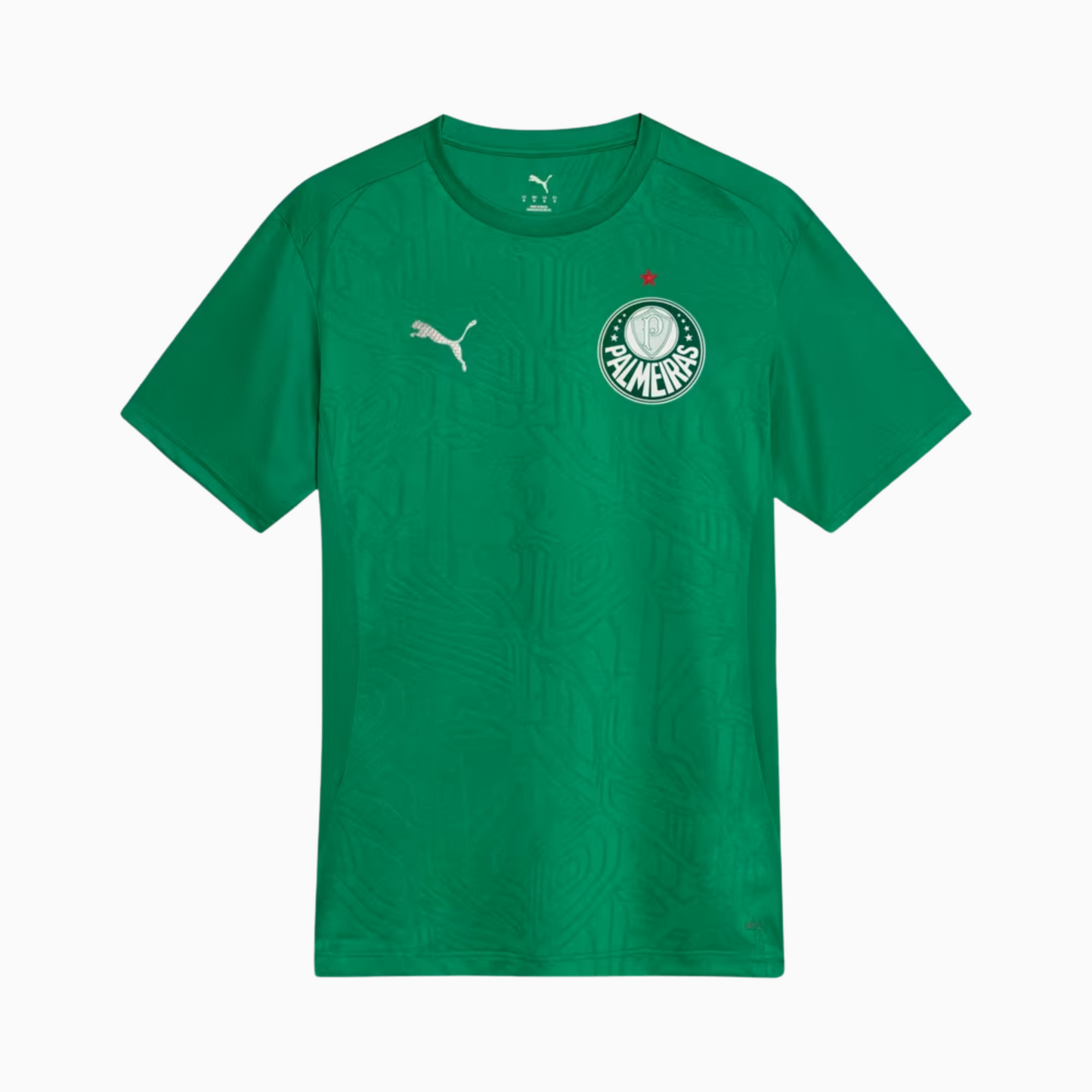 Camisa Palmeiras 2025 – Treino