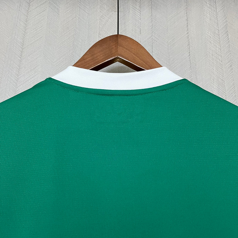 Camisa do Palmeiras Home 25/26 Torcedor Puma Masculina - Verde