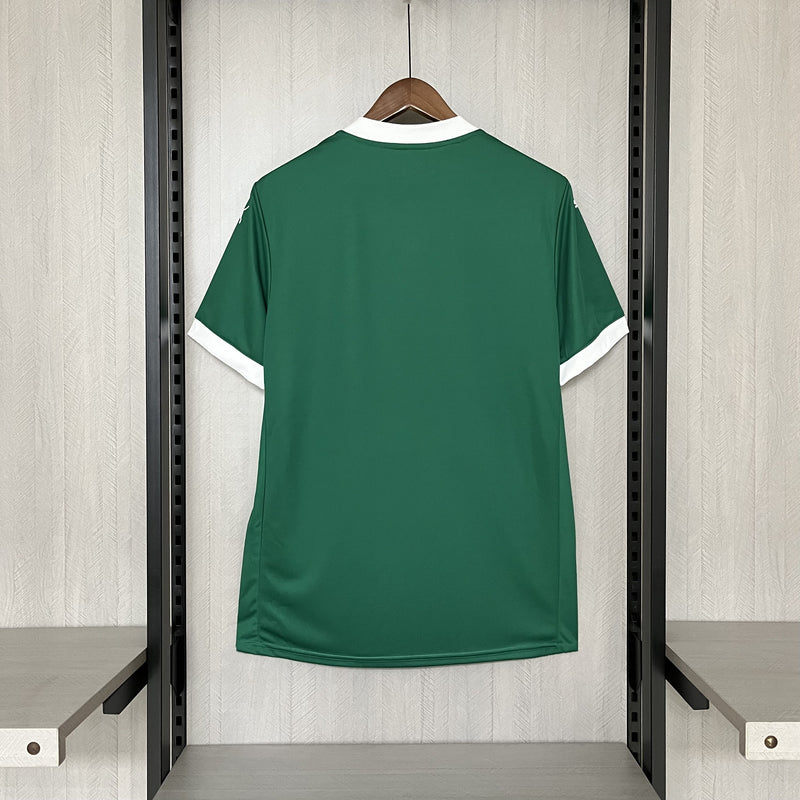 Camisa do Palmeiras Home 25/26 Torcedor Puma Masculina - Verde