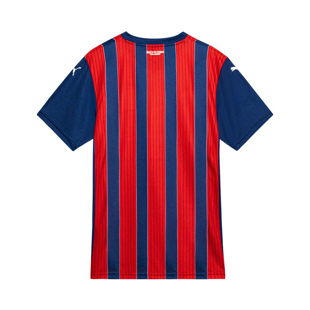 Camisa Bahia Home 25/26 Torcedor Puma Masculina - Tricolor