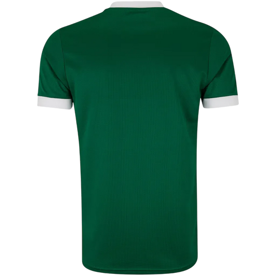 Camisa do Palmeiras Home 25/26 Torcedor Puma Masculina - Verde