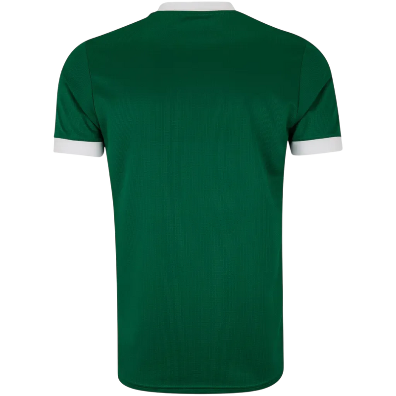 Camisa do Palmeiras Home 25/26 Torcedor Puma Masculina - Verde