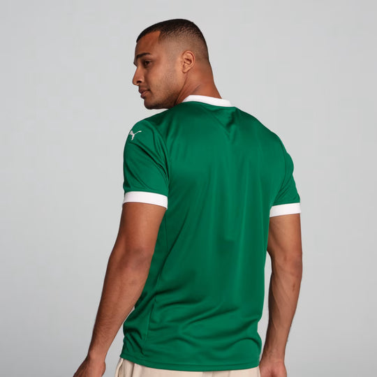 Camisa do Palmeiras Home 25/26 Torcedor Puma Masculina - Verde